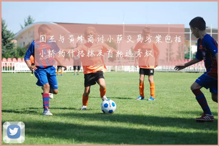 国王与黄蜂商讨小萨交易方案包括小桥约什格林及首轮选秀权